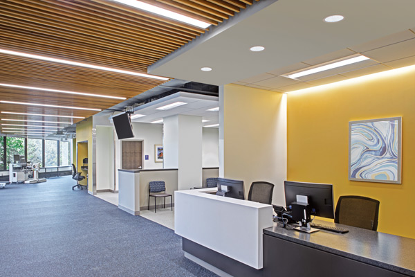 H.E. Williams, Inc. lighting office space